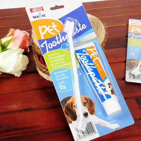 Descubre qué implementos necesitas para cepillar los dientes de tu perro