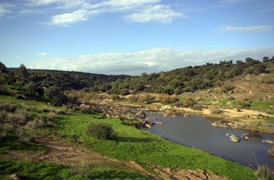 Parques de España II