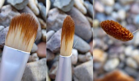 iHerb. Mi opinión sobre Ecotools III: kit de brochas de rostro (polvos, colorete y corrector) iHerb. Mi opinión sobre Ecotools III: kit de brochas de rostro (polvos, colorete y corrector)