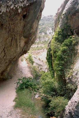 Parques Naturales de España IV