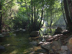 Parques Naturales de España IV