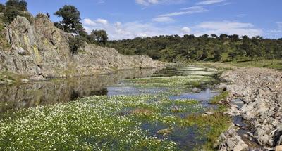 Parques Naturales de España IV