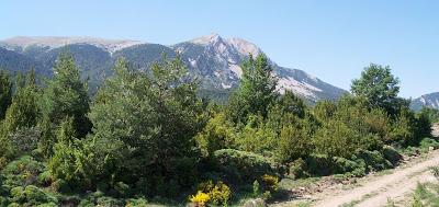 Parques Naturales de España IV