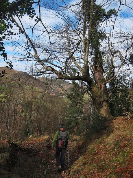 Pico Facéu desde Omedal Pico Facéu desde Omedal
