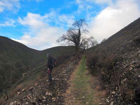 Pico Facéu desde Omedal Pico Facéu desde Omedal