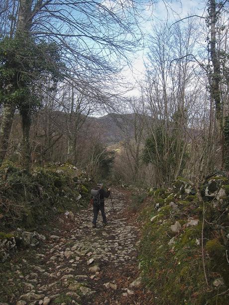 Pico Facéu desde Omedal Pico Facéu desde Omedal