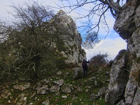 Pico Facéu desde Omedal Pico Facéu desde Omedal