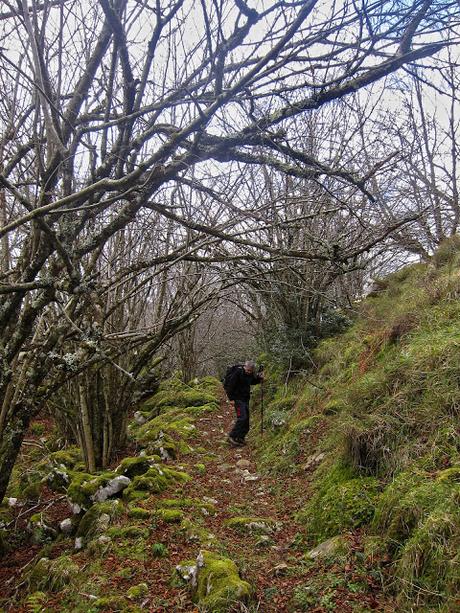 Pico Facéu desde Omedal Pico Facéu desde Omedal
