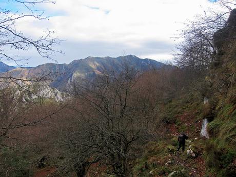 Pico Facéu desde Omedal Pico Facéu desde Omedal