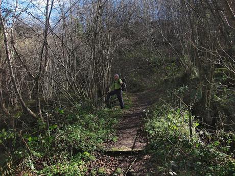 Pico Facéu desde Omedal Pico Facéu desde Omedal