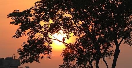 Hoy Es El Mejor Día De Mi Vida... today pics