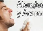 alergia colchones Colchones, todo lo que debes saber.