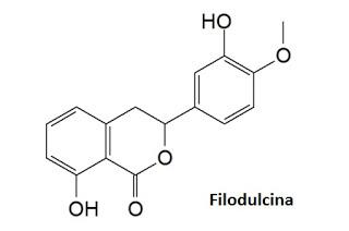 filodulcina phyllodulcin filodulsin dihydroisocumarina hydrangea hortensia edulcorante sweetener