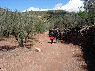 Antiguo camino entre Vall de Almonacid y Matet