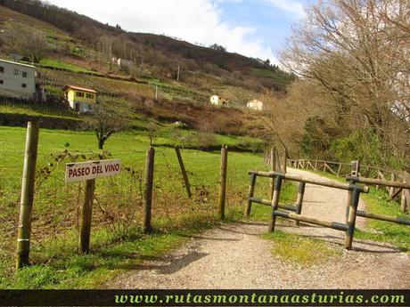 Fin del Paseo del Vino