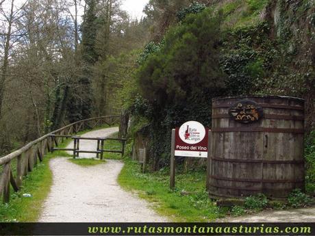 Paseo del Vino en San Tiso