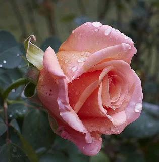 FUE AQUEL BESO... FUE AQUEL BESO...