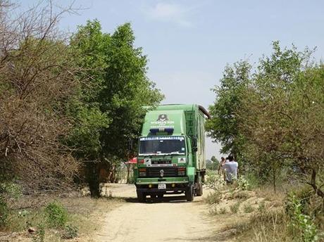 Elefante abusado durante 53 años finalmente se reune con sus 'hermanas'