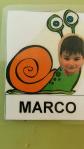 Marco nos enseña muchas cosas de los caracoles Marco nos enseña muchas cosas de los caracoles