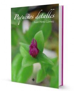 Mockups de libros para promocionarlos con elegancia Mockups de libros para promocionarlos con elegancia