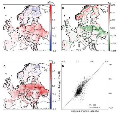 La paradoja del verde: más árboles pero menos eficientes contra el cambio climático La paradoja del verde: más árboles pero menos eficientes contra el cambio climático