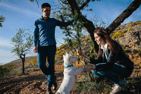 perro-jugando-con-piedra-sesion-pareja-zaragoza