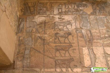 EGIPTO 2016, DÍA 10: ALREDEDORES DE LUXOR, TUTANKAMON EGIPTO 2016, DÍA 10: ALREDEDORES DE LUXOR, TUTANKAMON