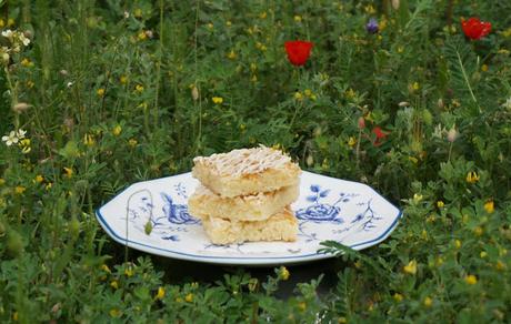 Blondies, whities, brownies de chocolate blanco