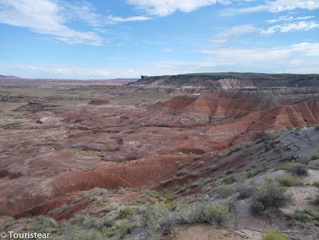 Qué ver en una visita al Petrified Forest?