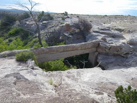 Qué ver en una visita al Petrified Forest?