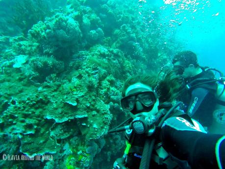 Haciendo submarinismo en Komodo