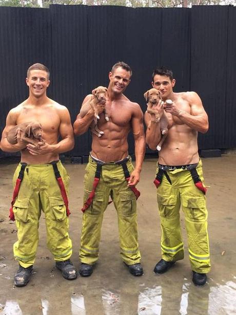 Calendario de los bomberos australianos: chicos guapos y cachorros. Calendario bomberos australianos
