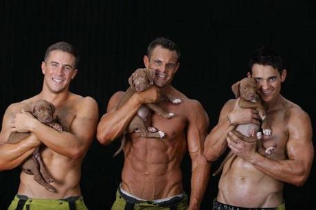 Calendario de los bomberos australianos: chicos guapos y cachorros. Calendario bomberos australianos