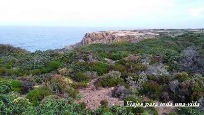 La Costa del sudoeste del Alentejo y la eco experiencia Zmar, en Portugal