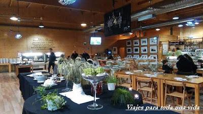 La Costa del sudoeste del Alentejo y la eco experiencia Zmar, en Portugal