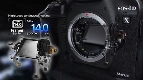 Review de la nueva Canon EOS-1D X Mark II - Fotografía Profesional de Alta Gama