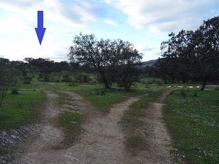 Puentes medievales del Notario y Arenosas, en las cercanías de Alburquerque