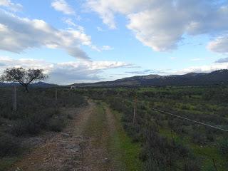 Puentes medievales del Notario y Arenosas, en las cercanías de Alburquerque