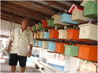 PELIGRAN LAS ABEJAS MELIPONAS - SURVIVAL OF BEES IN DANGER MELIPONA