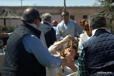 Calçotada 2016 (Alcalá de Henares)