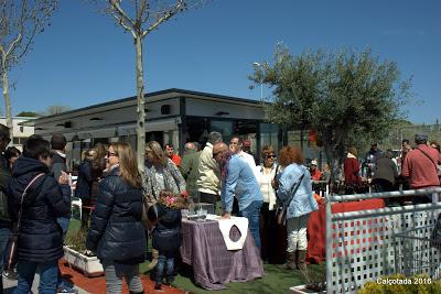 Calçotada 2016 (Alcalá de Henares)