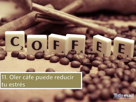 Razones Para Comenzar El Día Con Una Taza De Café xxxx