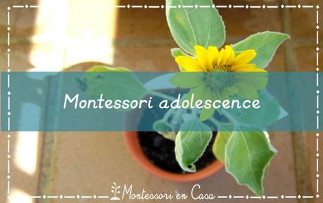 Montessori en la adolescencia – Montessori adolescence