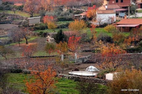 Hervás Cáceres. Hervás. Maravillosos colores de otoño. Beautiful colors of autumn.