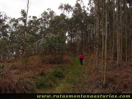 Rampa final al pico Prieto Rampa final al pico Prieto