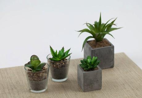 Colección Lifestyle by Stradivarius Colección Lifestyle by Stradivarius