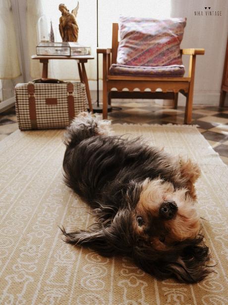 Un post donde con mucha alegría afronto la mudanza a una preciosa y nueva casa