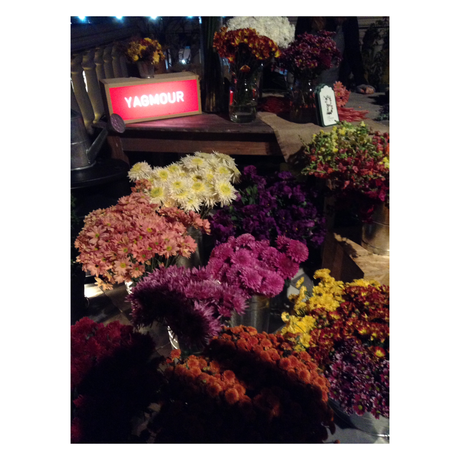 Excéntrica la nueva colección de Yagmour OTOÑO – INVIERNO 2016 Excéntrica la nueva colección de Yagmour OTOÑO – INVIERNO 2016