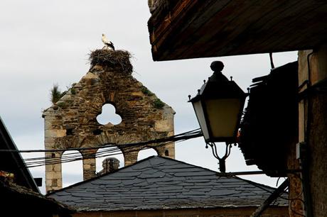 Salas de los Barrios. Ponferrada. León