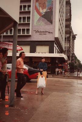 DIM SUM (RELLENOS DE CARNE PICADA CON CEBOLLETA) DIM SUM (RELLENOS DE CARNE PICADA CON CEBOLLETA)